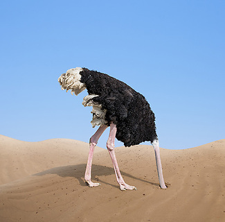 The Risks of the Ostrich Approach: Never Ignore a Lawsuit
